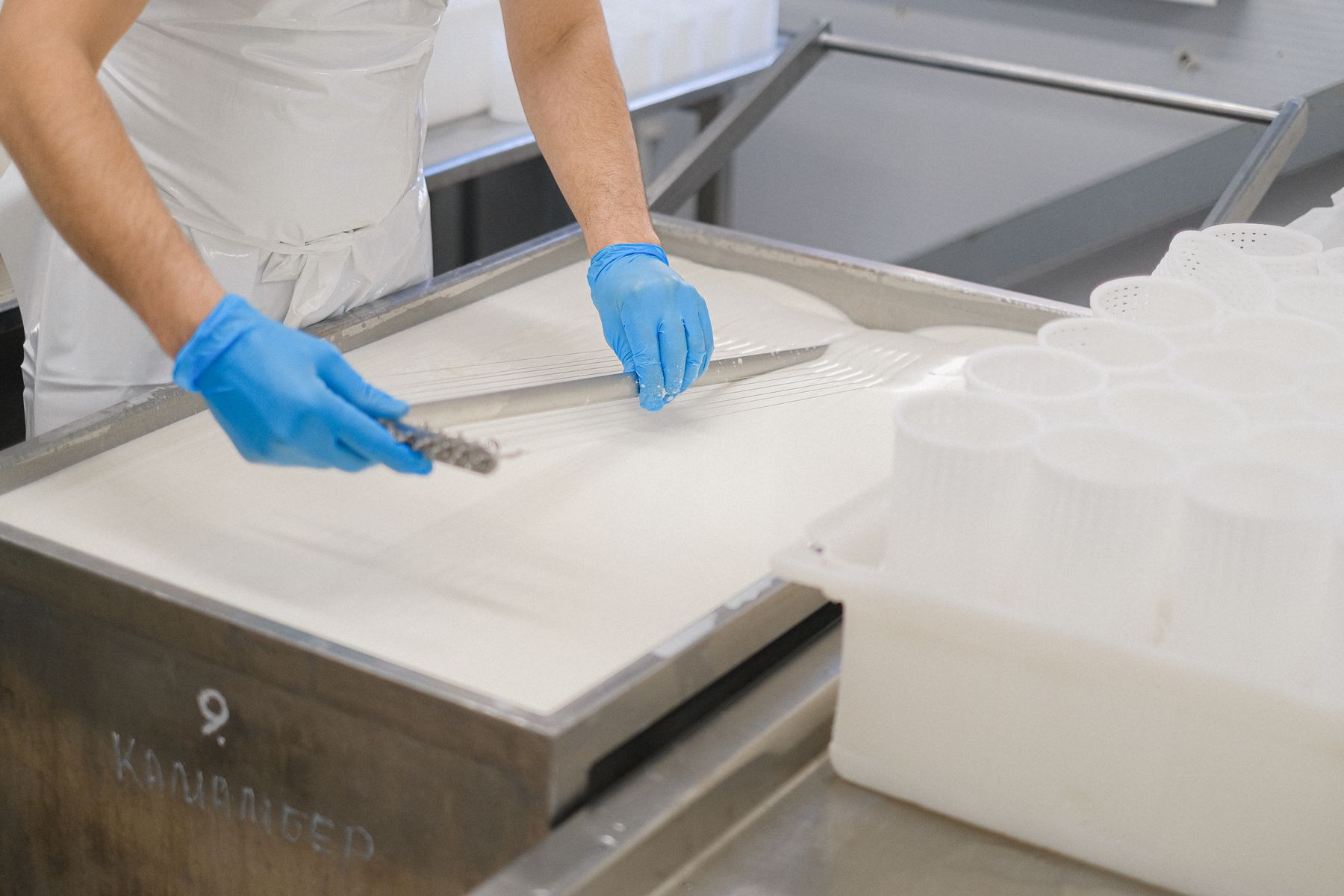A food production worker in gloves preparing product in a processing facility